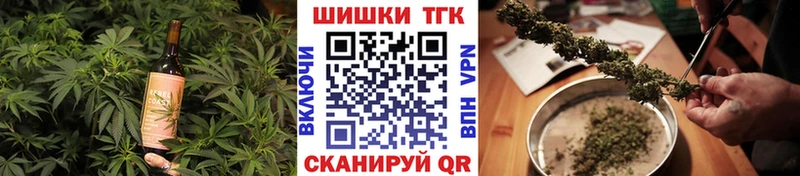 как найти   Сясьстрой  Cannafood конопля 